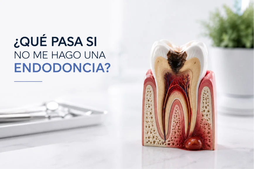 Radiografía dental durante valoración